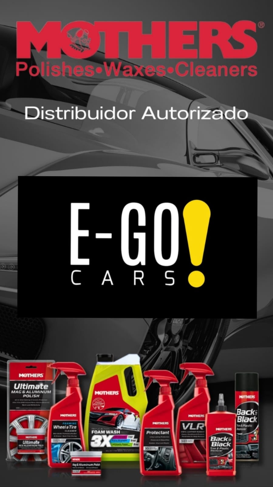 Foto de E-gocars