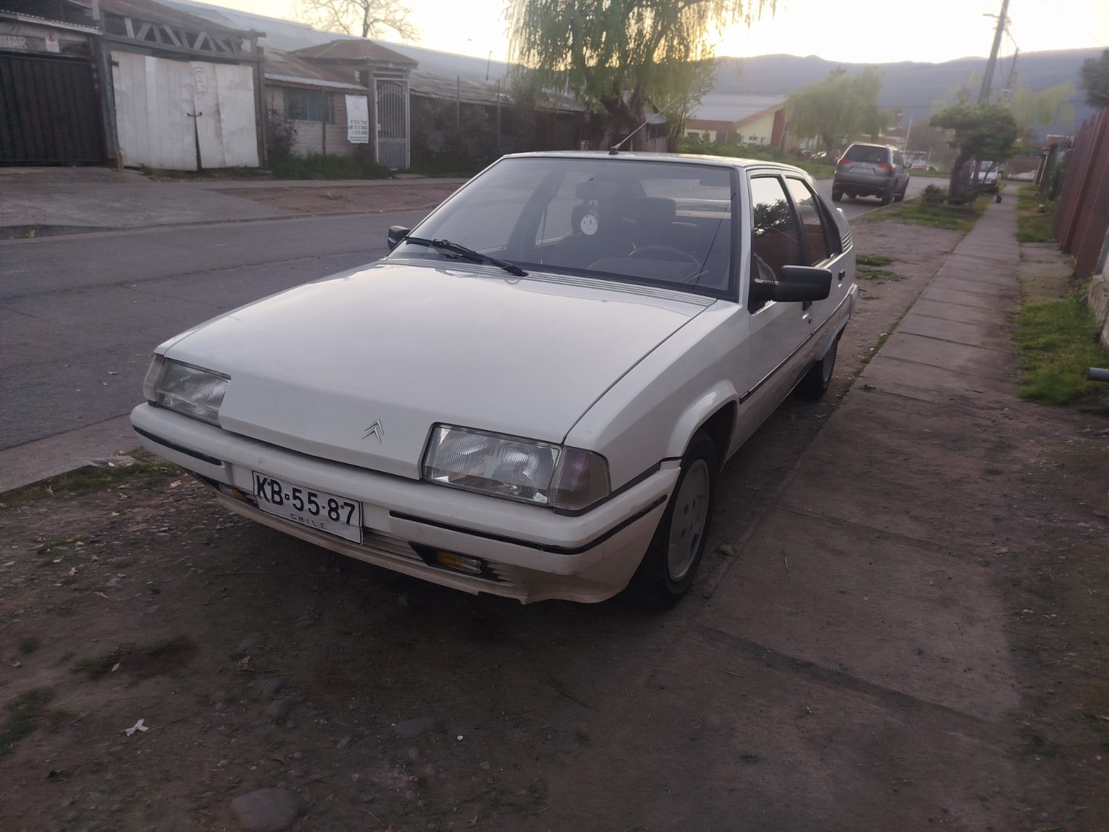 Citroën Bx15 Tge — foto 4 de 14