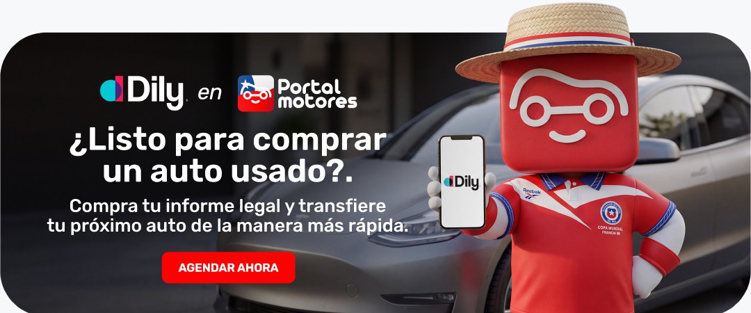 INFORME DILY