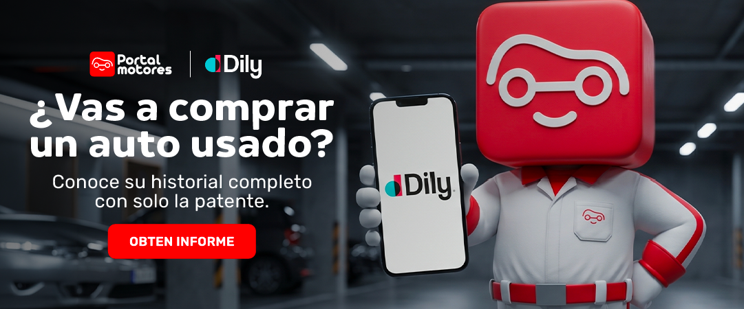 INFORME DILY