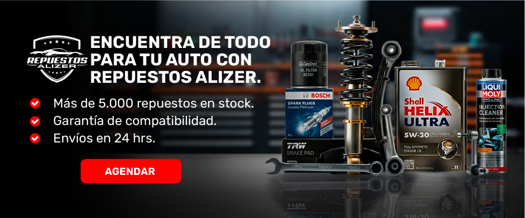 BANNER ALIZER