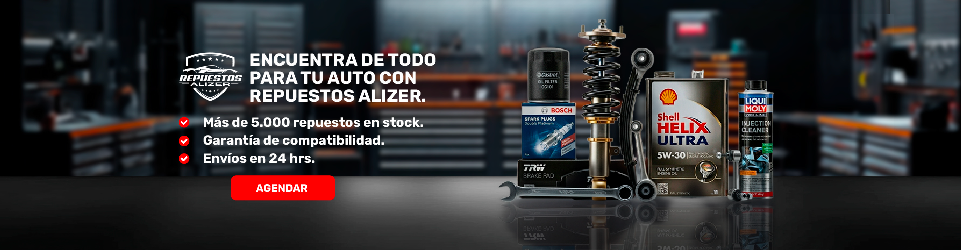 BANNER ALIZER